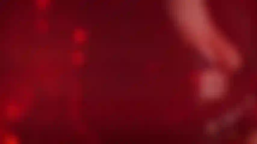 Adora la tua regina.