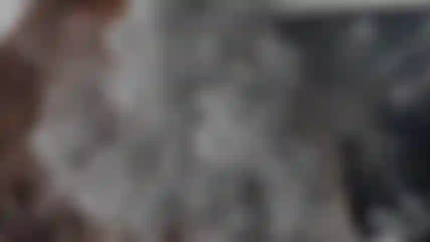 Sei pronta per iniziare la tua servitù?