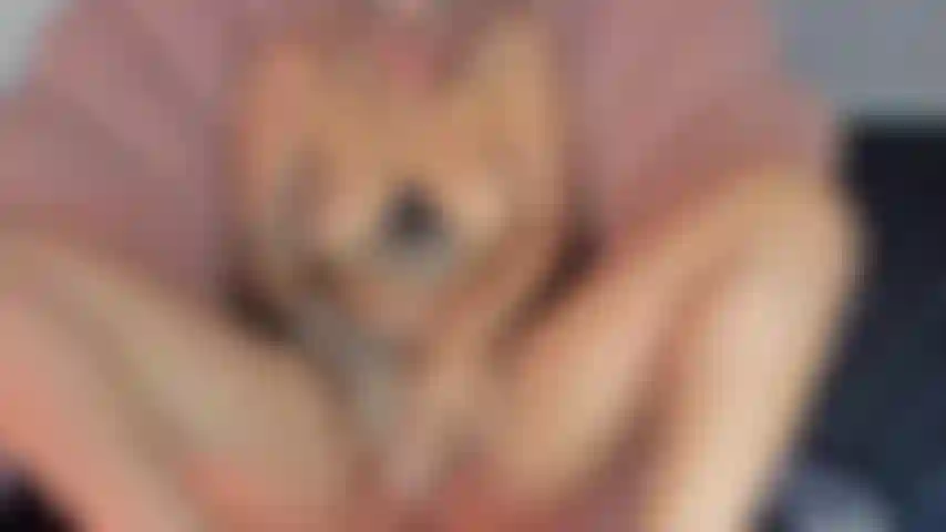 Le mie tette rimbalzano al ritmo del tuo delizioso cazzo che mi scopa la figa.