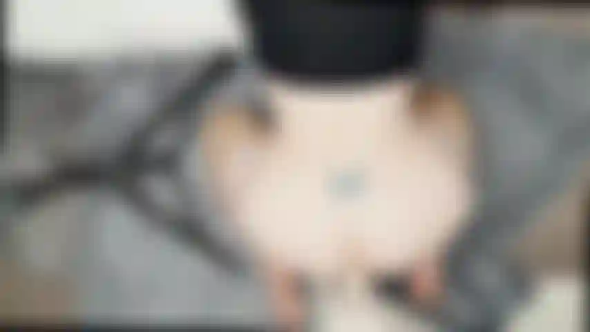 Cagnolino vista dall'alto/dildo montato a parete.