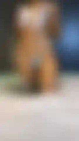 I capezzoli giocano.