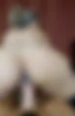 Culo grosso davanti alla telecamera che cavalca un grosso cazzo di blake.