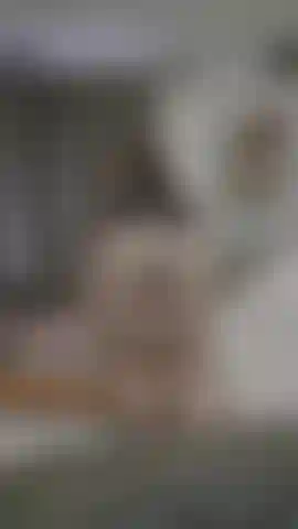 Vuoi guardarla rimbalzare sulla tua faccia?