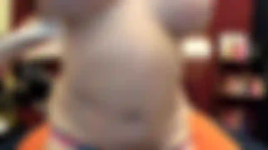 ( Gs.533) GoldieStar si esibisce nel gold show - 9:01 minuti. Grandi tette, figa pelosa, piedi nudi, schizzi, gilf, anale, doppia penetrazione, grosso vibratore di gelatina trasparente (27/4/22).