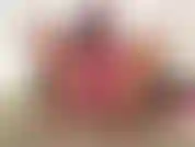 (28) GoldieStar in questo set di foto della presentazione indossa un reggiseno rosa acceso e mutandine senza cavallo. Gioco con la fica.