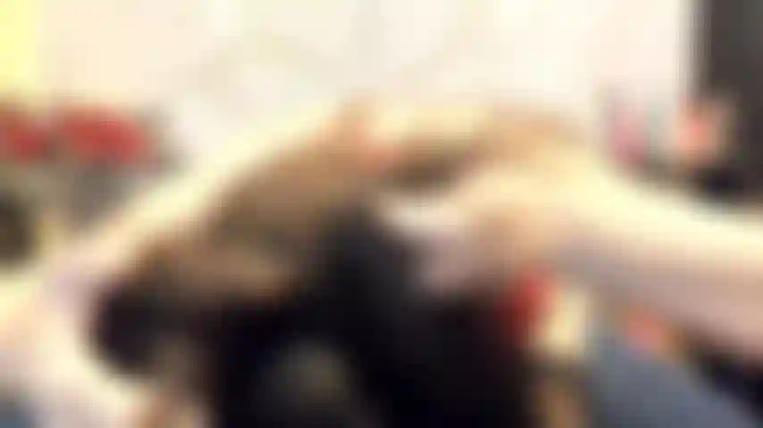 ( Gs.444) GoldieStar si esibisce nel gold show. Roleplay(chiamare tutti nella stanza per nome...) 9 Minuti. Orsacchiotto rosso. Calze nere, tette grandi, squirting, anale, doppia penetrazione, tutti dildo bianchi (20/01/2022).