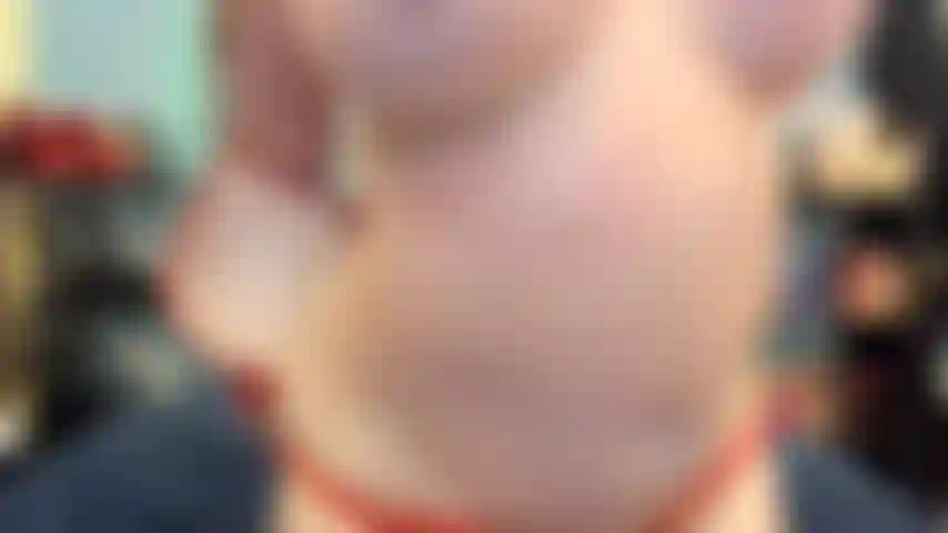 ( Gs.481) GoldieStar si esibisce nel gold show. Roleplay (chiamare tutti nella stanza per nome...) 8 Minuti. Gilf, figa pelosa, piedi nudi, schizzi, anale, giocattolo interattivo, doppia penetrazione, tutti dildo bianchi (25/02/2022).