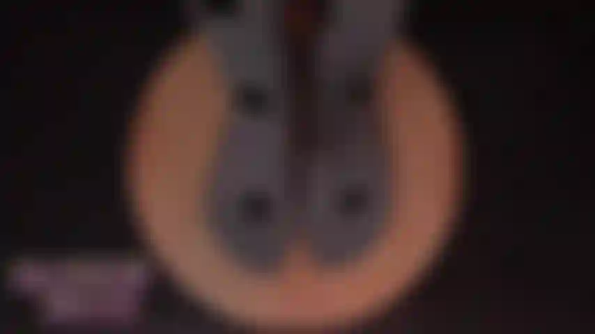 Adorazione dei piedi e pedicure.