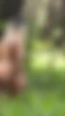 Lost in the middle of the forest as I came to the world #Naked