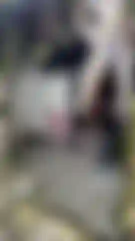 Anal Toy Tour Round 3, huuuuuge suction cup dildo.Watch my stomach bulge as I take my seat with my huge tits out 
11.6 inches long, 1.85 inches in girth.Watching myself is my favorite. I fucking love it. Send me your cum shot.