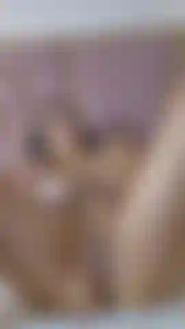 Guarda quanto è bagnata la mia figa.