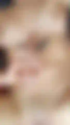 Il caldo mi sta consumando scopandomi la figa e il culo allo stesso tempo fa aumentare il mio calore, ma il mio corpo grida per il calore delle tue carezze mentre raggiungo l'apice della stasi, unisciti a questo momento caldo e umido per me, ti prometto che non te ne pentirai.