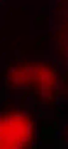 glory hole video , watch me suck that cock xx