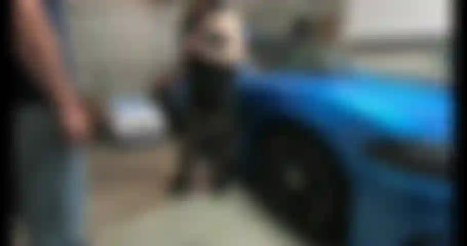 Sono stata così arrapata durante la chiusura per il coronavirus, ma mio marito non permette a nessuno di venire da me. Quindi ho fatto entrare di nascosto il mio vicino e lui mi ha scopato in garage mentre mio marito dormiva!