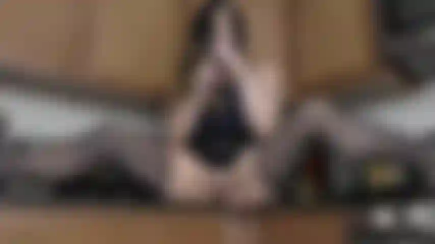 Il cetriolo gioca - sm.