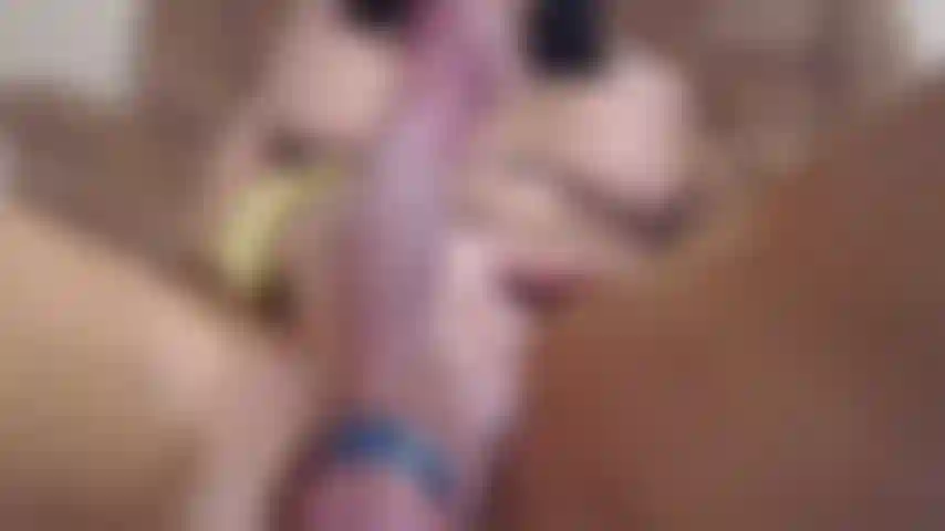 Il mio cazzo, da vicino e personale.