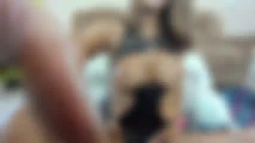 Il mio culo ha un sacco di cuscini per te da scopare.