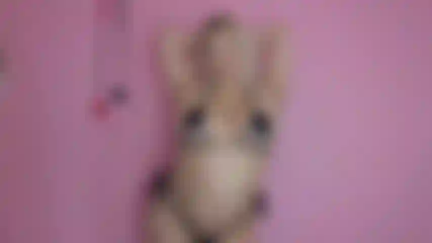 Indottrinamento del culto del culo + rivelazione della figa della principessa.