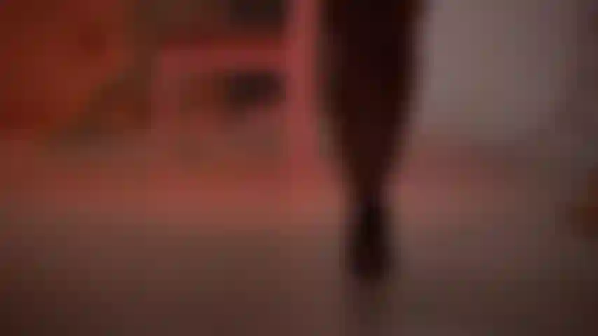 Una passione adorabile.