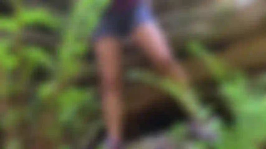 Vengo nella foresta vicino a un ruscello.