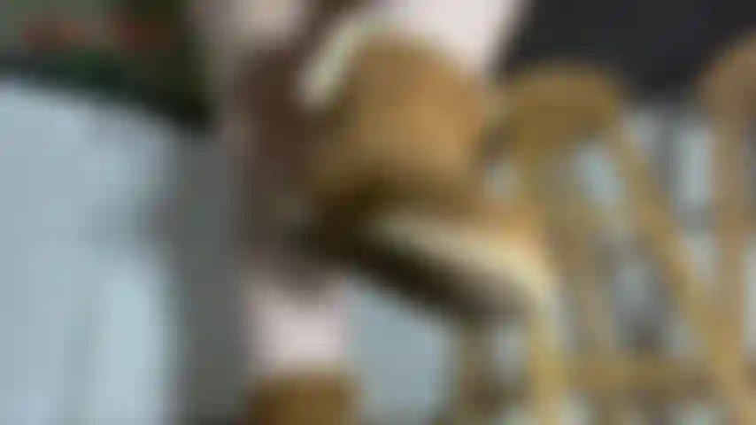 Lecca il pov pulito: sei sul pavimento a cui appartieni, pronta a servire jackie e i suoi grandi piedi sexy. Oggi indossa i suoi stivali ugg sporchi. Normalmente li indossa solo in casa, ma ultimamente fa così freddo che li indossa...