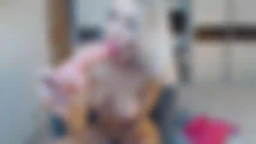 Faccio un pompino sciatto e cavalco un dildo.