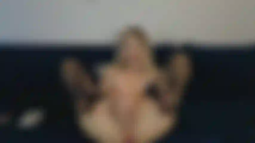 Mi scopo la figa con un dildo e le dita.