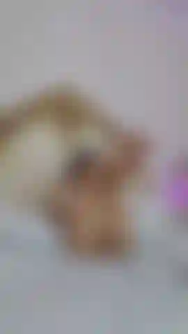 I want everything inside