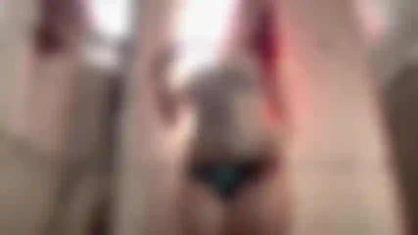 Shower POV fantasy where youre up close and completely focused on me. Steam, soaked white tank top, sheer panties, deep eye contact, nonstop dirty talk, encouragement, and slow femme-led control. I guide you, tease you, play, moan, and let myself fully unravel. Filmed in stunning professional 4K Ultra HD for an intimate, immersive GFE experience.