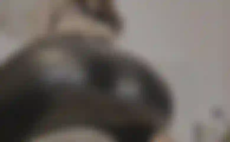 Il culo di cuoio della tua dea.