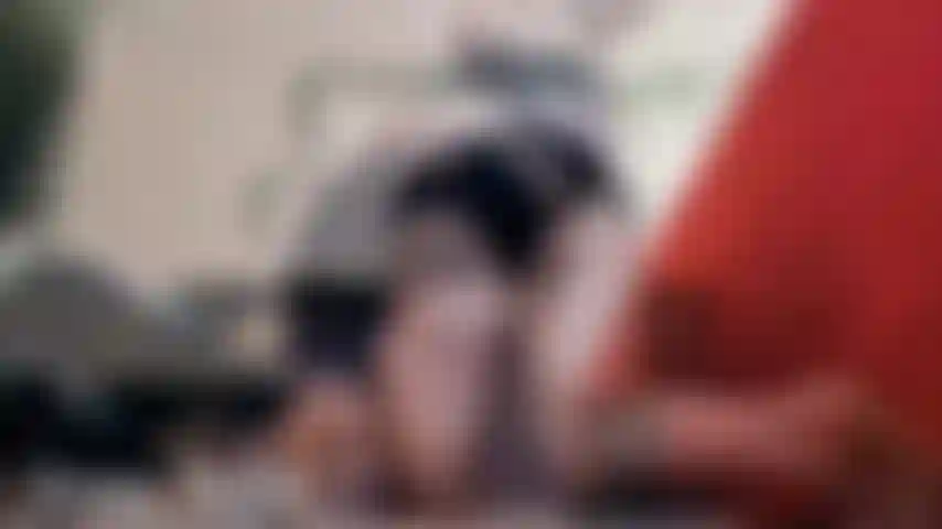 Anal Play, Asshole Winking, Booty Shaking fucking my ass so good for you