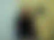 Pensavi che avresti scopato una ragazza? Schifosa e patetica. Non sottoporrei mai una donna alla tua bassezza. Vieni scopata da un uomo con un grosso cazzo. Oggi ti lascerò anche accarezzare il clitoride come ricompensa.