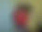 Ho tradito così tanto ultimamente che non ho idea a chi appartenga questa foto del cazzo. Però non è davvero un tradimento. Vedi, sono una moglie sexy. Mi piace scopare con altre persone anche se siamo sposati.
