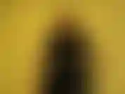 Sono stanca delle tue lamentele. Volevi essere la mia schiava e sarai la mia schiava. Ficcami la lingua nel culo senza lamentarti e prima o poi potrei farti uscire dalla tua gabbia di castità. Ma non lo prometto.