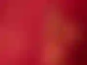 Voglio solo darti tutto ciò che stai cercando in modo che tu possa avere una bella sorpresa.