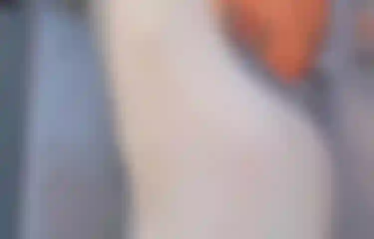 Fatevi una doccia e strofinatemi i seni e la figa. Vorreste partecipare a questo lungo bagno con me?