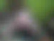 Colpo di teaser nell'area di gioco riorganizzata ;).