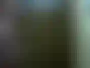 Mi faccio la barba e la doccia.