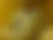 Mi masturbo di nuovo.