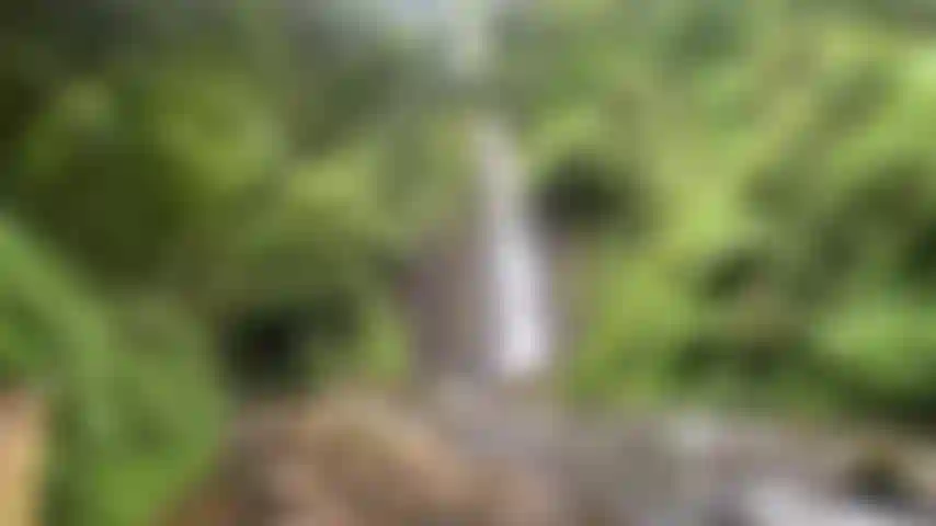 Gioco con la figa nella natura, cascata all'aperto.