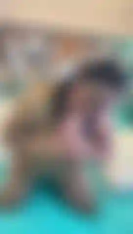 Latina sensuale matura.