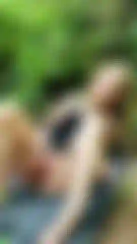 Gioco bagnato nei boschi.