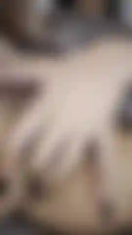 Anal play