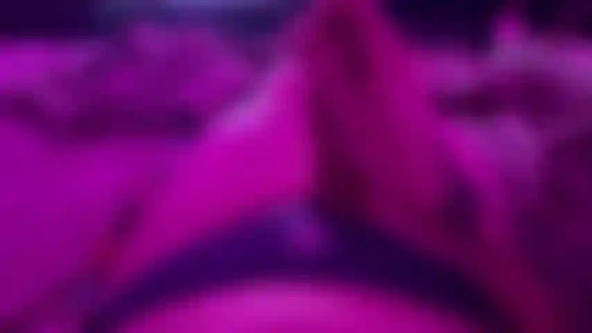 Il suo schizzo pov prima di coricarsi.