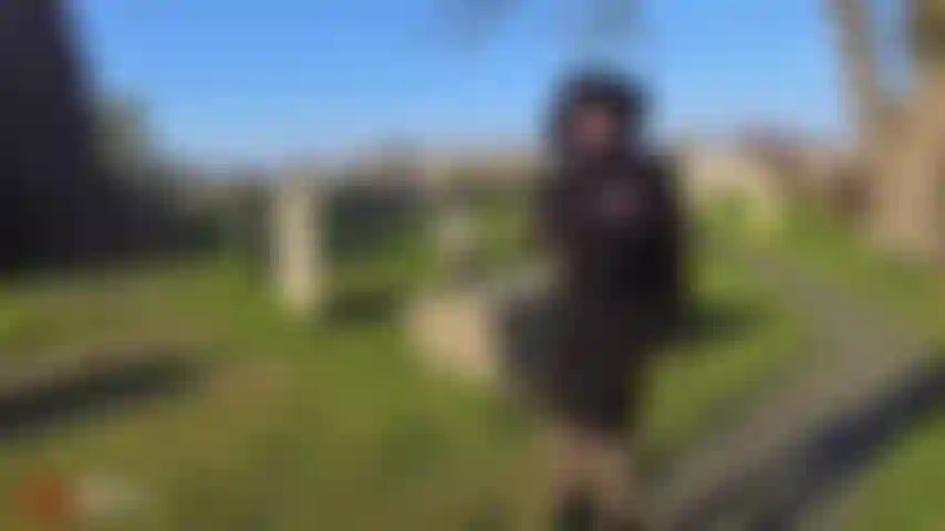 Una vedova di nylon.