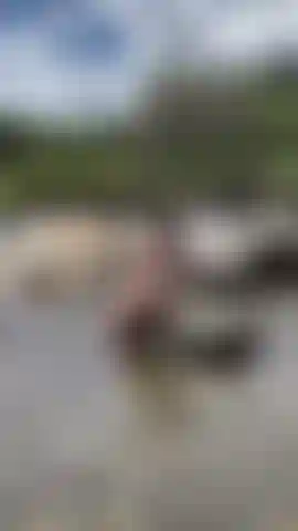 Between the river and my wet skin... my body begs you to come and take me right here