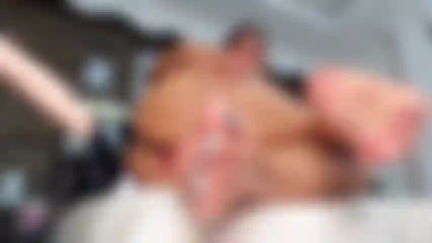 Baciami i piedi mentre scopo finché non sborro.