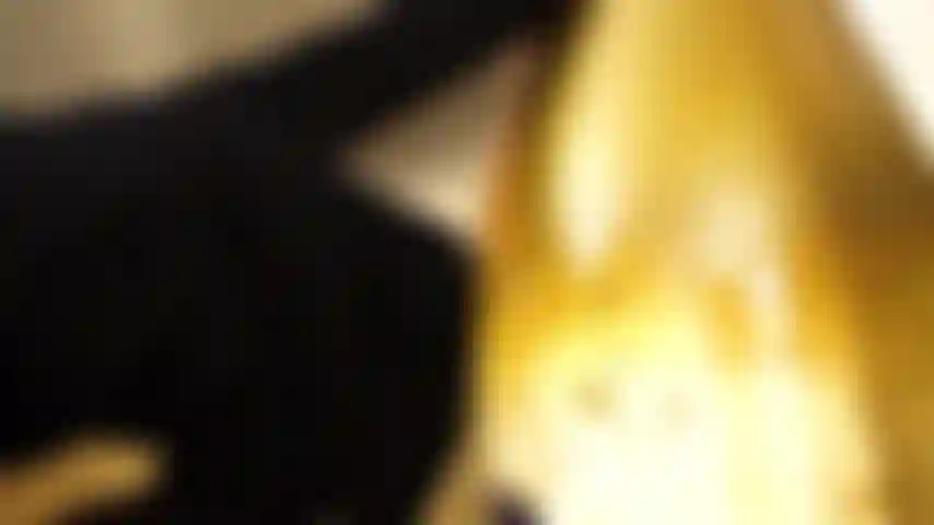 È l'ora della festa.