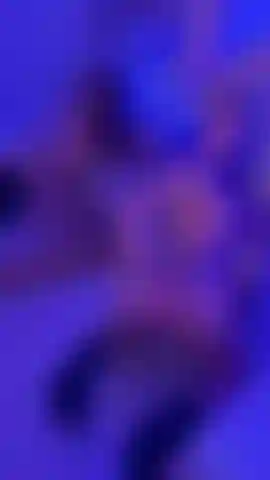 Deep, Slow and Completely Open