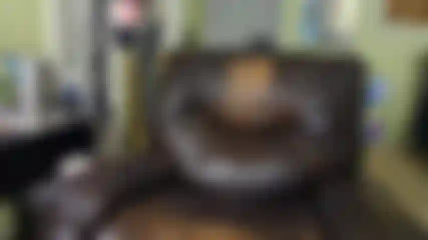 Infilo il mio vibratore Lovense nel buco del culo.